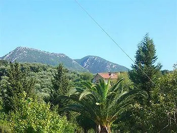 Olga Apartmán